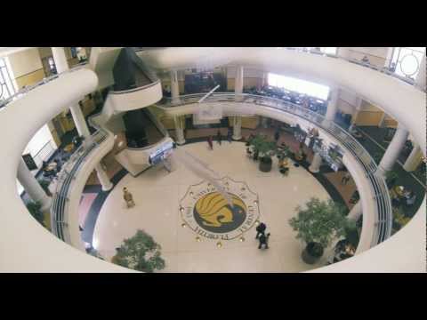 Harlem Shake UCF Edition