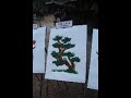 Elephants Painting!