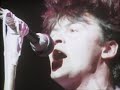 Paul Young - Love Of The Common People