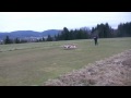 Lars_extra.avi