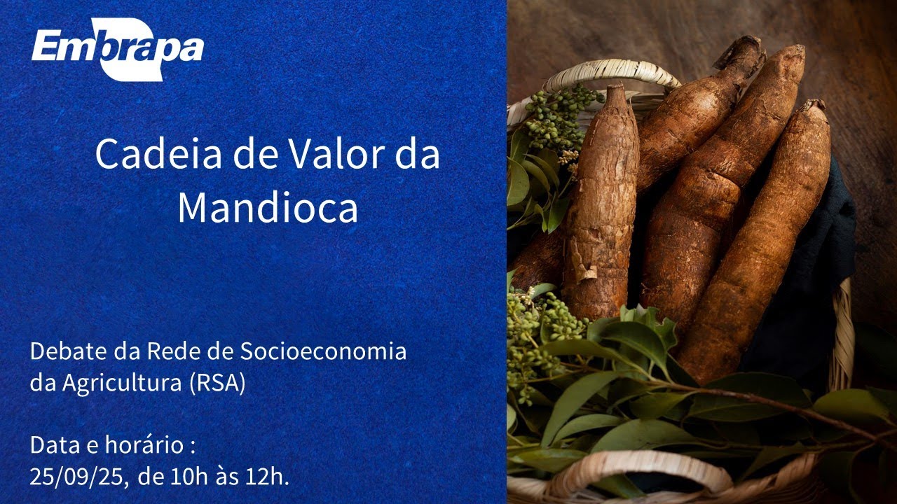 Cadeia de Valor da Mandioca