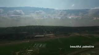 خربة الشونة المهجرة حيفا فلسطين ??