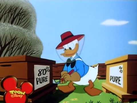 Paperino; L'orso goloso.