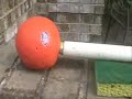 Fun, Fun, Fun, with a Blow Gun!!!