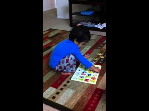 IMG 0473