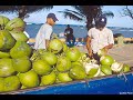 Quisqueya La BeLLa