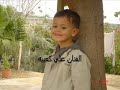 شفاعمر vr6_1@windowslive.com
