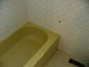 Bathroom Renovation: Before Bathroom Renovation: Before