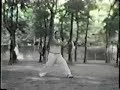 zhang jun feng teaching xingyi in taiwan
