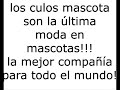 CULOS MASCOTA