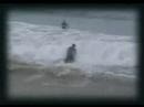 videos de Bailo