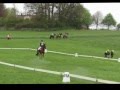 Killcorban Diamond & Amanda Debutant Humlamaden.wmv