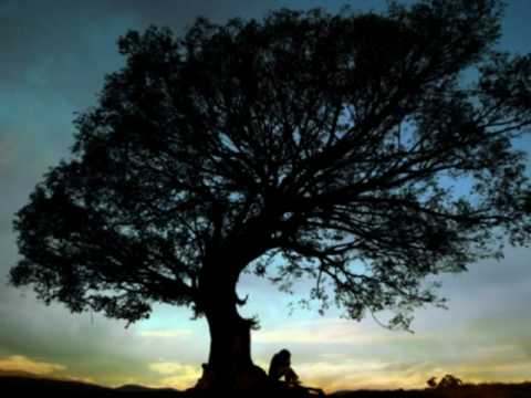 Lissie Martinez - A darte mi Vida - Música Gospel