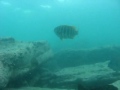 A Day At Jervis Bay