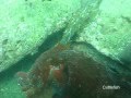 A Day At Jervis Bay