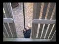 videos de RFJ- This is the Ultimate Reverse... down