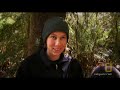 Environmental activists clash with authorities over the clear cutting of California's redwood trees. Explorer: Climbing Redwood Giants : channel.nationalgeographic.com