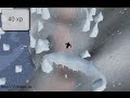 Penguin Agility Course