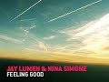 Jay Lumen vs Nina Simone - Feeling Good (Dub) [progressive]