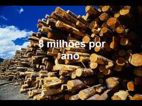 Imagem de Amostra do You Tube