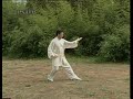 Yang-Style Long-Fist Taijiquan Yang-Style Long-Fist Taijiquan