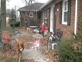 Landon Playing Outside 1109.MOD