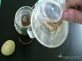 Still drinking coca cola? Watch this!