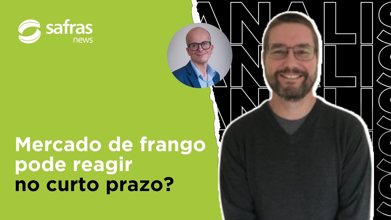 Mercado de frango pode reagir no curto prazo? – Conversa com o Analista