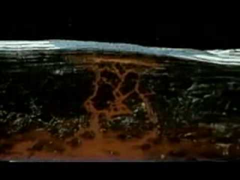Part of Amazing Solar System
