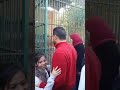 كارثة بحديقة حيوان الاسكندرية - النزهة -Views : 0