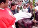 domingo de ramos abril 2007