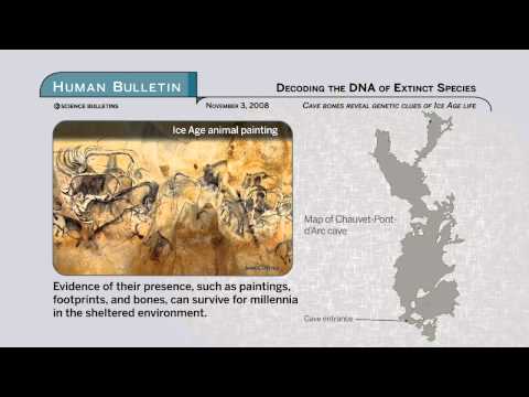 Science Bulletins: Decoding the DNA of Extinct Species