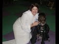 4 Legged Friends Howl-o-Ween Bash!!!