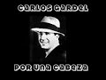 carmem san diego amv