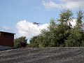 Sikorsky s-61 Denmark - Air Force i Heines have Sikorsky s-61 Denmark - Air Force i Heines have