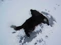 雪とワッフル