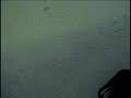 Thumbnail #1