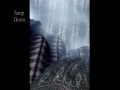 The dream which the psychiatric patient looked.
