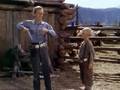 Shane (1953)