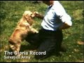 The Gloria Record: Tribute