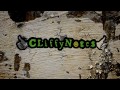 Video 4