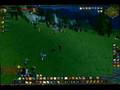world of warcraft paladin vs shaman epic fight