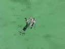 A Rock Lee Tribute A Rock Lee Tribute