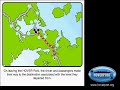The HOVER Flexible Carpooling System Animation