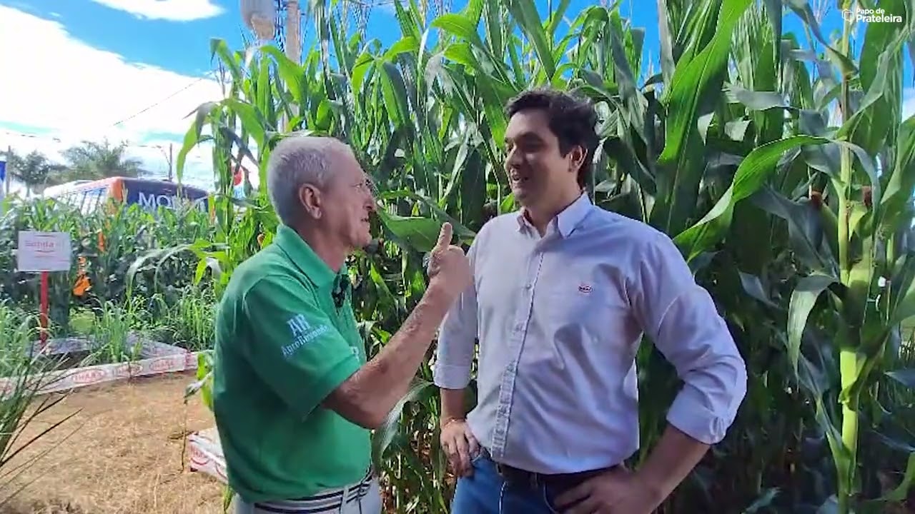 IHARA mantém tradição de lançamentos na Tecnoshow Comigo | Papo de Prateleira 1286