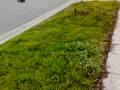 videos de Mamba Max bonzer 3 lipo 3s