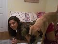 saddy humping