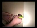 Shower Prank^^