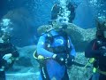 Shem and Lee swimming with sharks!!!