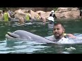 FABINHO PADILHA NADANDO COM GOLFINNHOS NO DISCOVERY COVE - VÍDEO 01